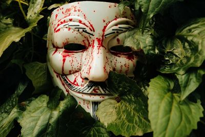 Close-up of mask