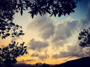 Low angle view of silhouette tree against sky during sunset