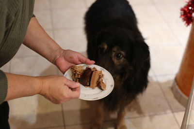 Women holding chocolate plate next to dog on floor