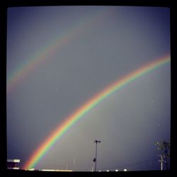 Low angle view of rainbow over trees