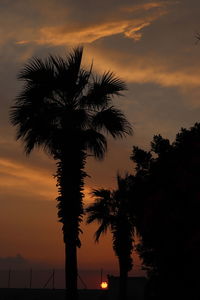 Silhouette palm trees against romantic sky at sunset