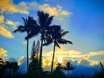 Low angle view of silhouette trees against sky during sunset