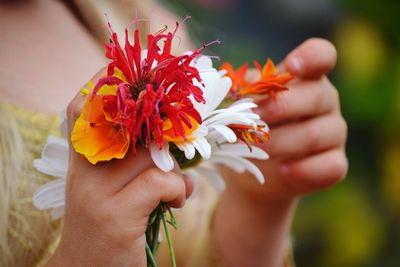 Cropped hand holding flower