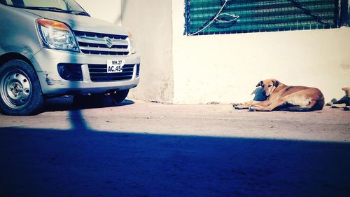 Man in car