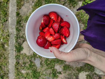 Midsection of woman holding strawberries in a bowl