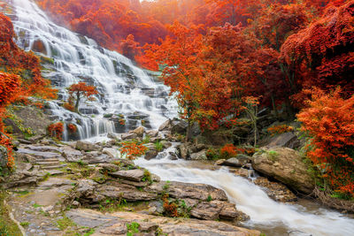 Waterfall in forest during autumn