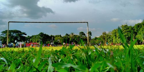 Group of people on field against trees