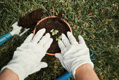 Close-up of person gardening on field