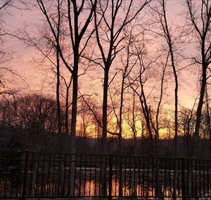 Silhouette bare trees against sky during sunset