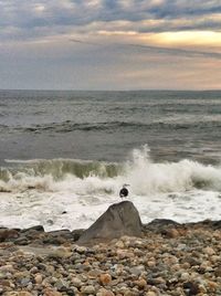 Scenic view of sea at sunset