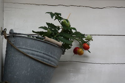 Red berries on table against wall