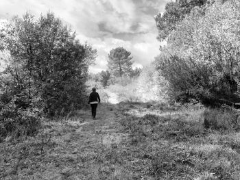 Rear view of man walking on field