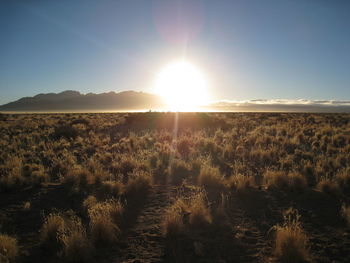 Scenic view of landscape against sky during sunset