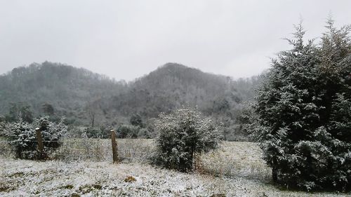 Trees on landscape against sky during winter