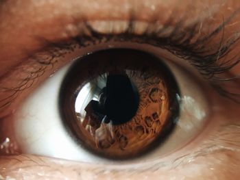 Extreme close-up of human eye