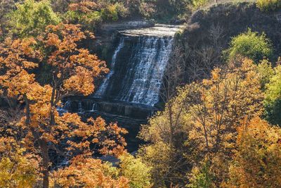 Scenic view of waterfall in forest