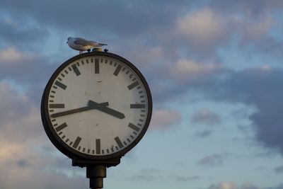 Low angle view of seagull perching on clock against cloudy sky