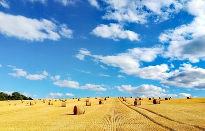 Hay bales on field against sky