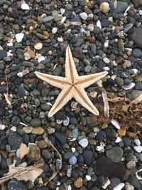 High angle view of stones on beach