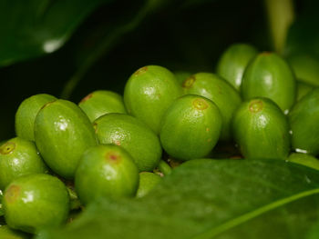 green