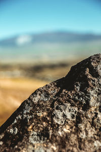 Close-up of rock on land against sky