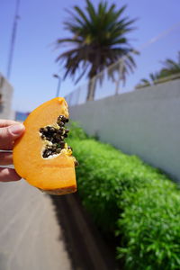 Close-up of hand holding orange fruit