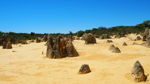 Panoramic view of beach against clear blue sky