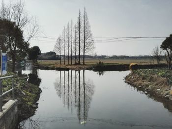 Reflection of trees in water against sky