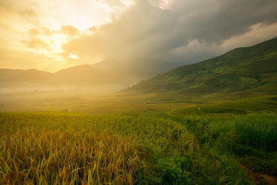 Scenic view of field against sky at sunset