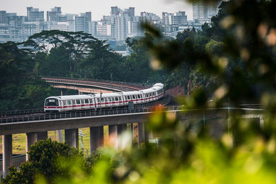 Train on bridge in city