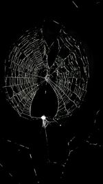 Full frame shot of spider web