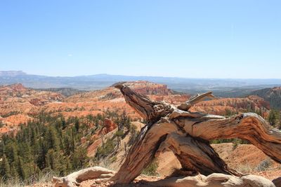 Scenic view of mountain range against clear sky