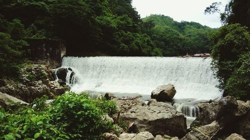 Scenic view of river amidst trees against sky