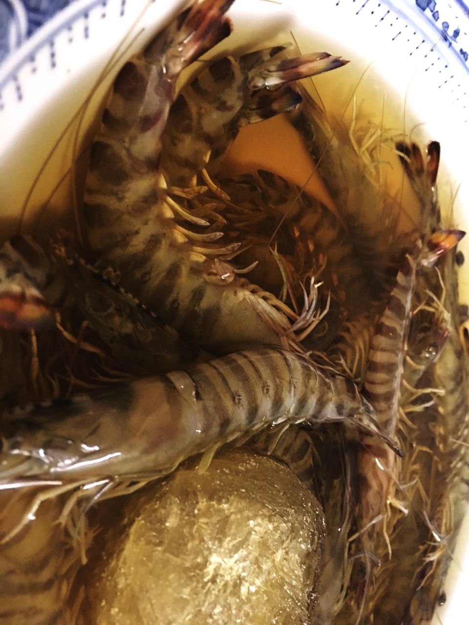 indoors, seafood, food and drink, close-up, food, fish, high angle view, still life, dead animal, healthy eating, no people, animal themes, freshness, container, raw food, detail, fish market, selective focus, fishing industry, noodles