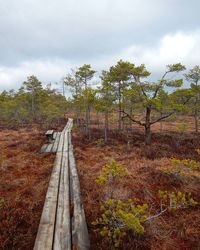 Trees on landscape against cloudy sky