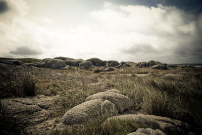 Scenic view of field against cloudy sky