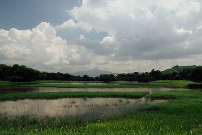 Scenic view of grassy field against cloudy sky