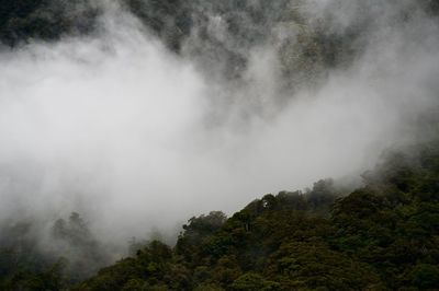 Clouds among mountains in new zealand