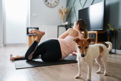 Cute dog near woman doing fitness exercises at home