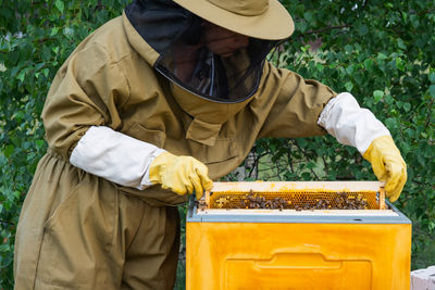 A beekeeper, a