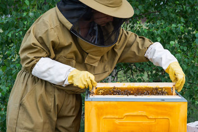 beekeeper
