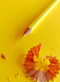 Close-up of pencil shavings with yellow pencil