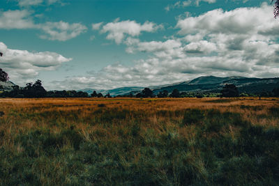 Scenic view of field against sky