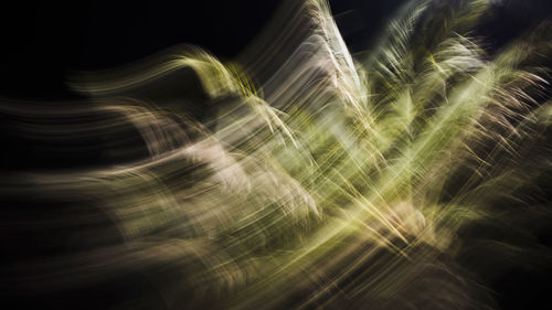 Close-up of light trails against black background