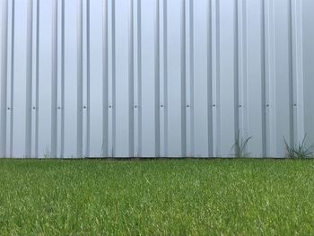 Full frame shot of grassy field