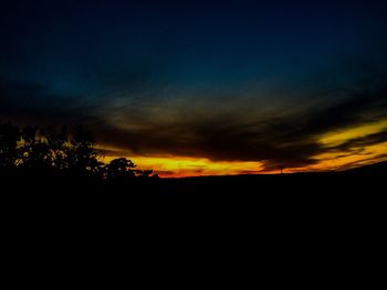 Silhouette of trees at sunset