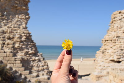 Cropped hand of woman holding yellow flower at beach