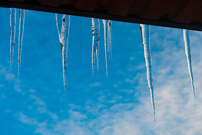Low angle view of icicles against blue sky