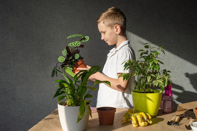 A cute boy is holding a calathea flower in a pot. care of home plants