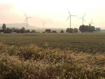 Windmills on field against sky during sunset